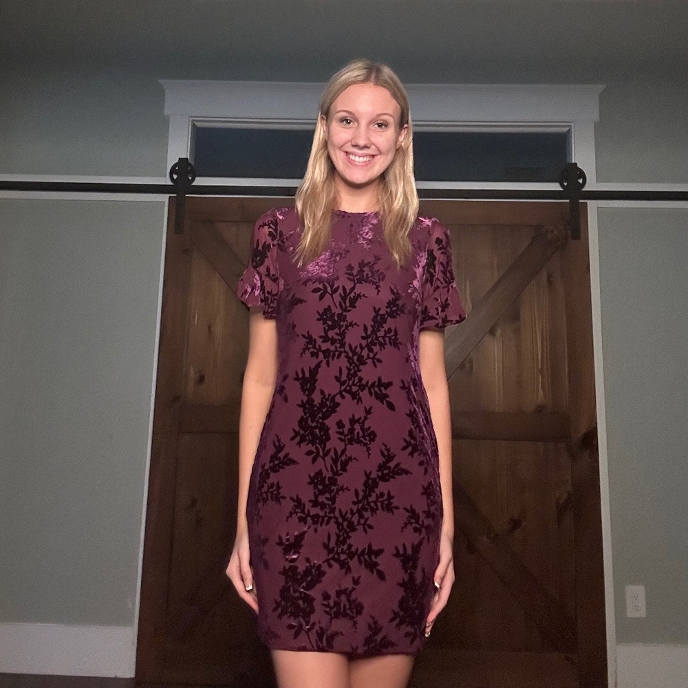 Calvin Klein Purple Dress with Velvety Accents